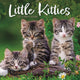 Book cover of: Little Kitties Square Wall Sunday Start