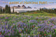 Book cover of: Americas National Parks Deluxe Wall Sund