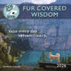 Book cover of: Dog Is Good Fur Covered Wisdom Square Mi