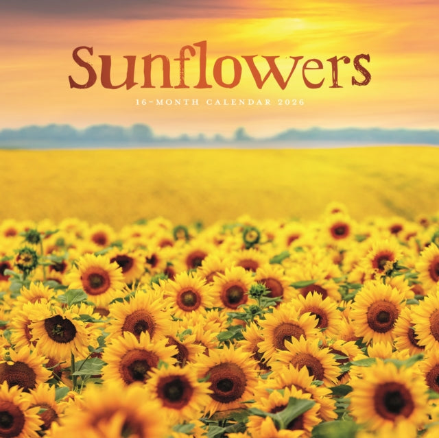 Book cover of: Sunflowers Square Wall Sunday Start Cale