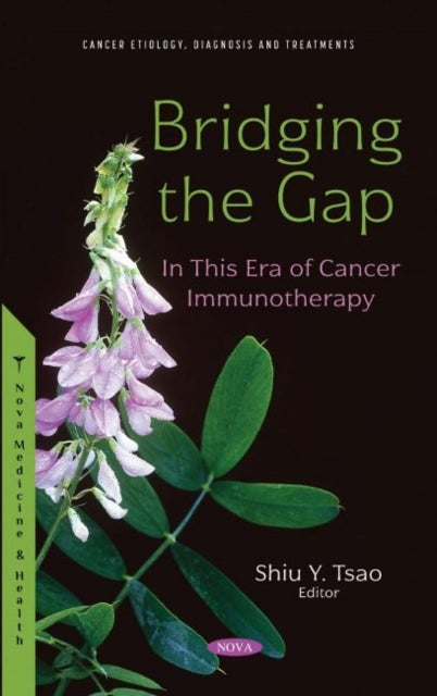 Book cover of: Bridging the Gap. By: Shiu Y. Tsao