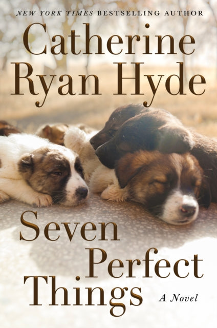 Book cover of: Seven Perfect Things. By: Catherine Ryan Hyde