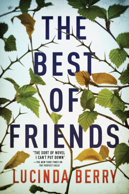 Book cover of: Best of Friends. By: Lucinda Berry