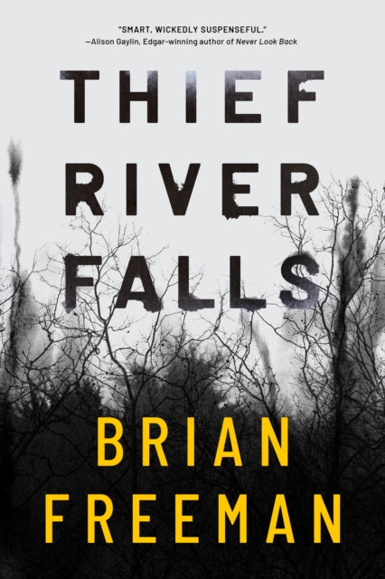 Book cover of: Thief River Falls. By: Brian Freeman