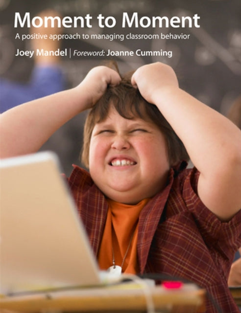 Book cover of: Moment to Moment. By: Ms. Joey Mandel
