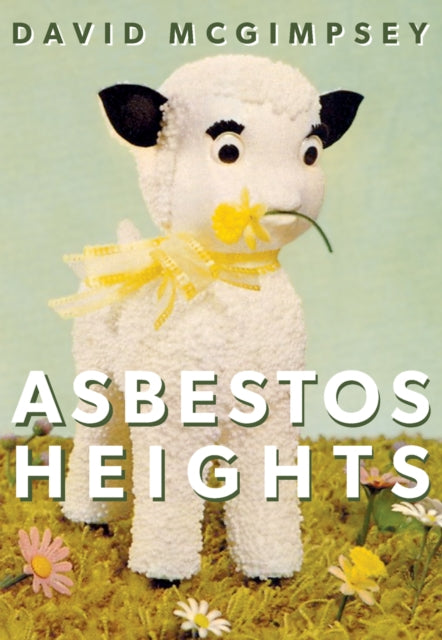 Book cover of: Asbestos Heights. By: David McGimpsey