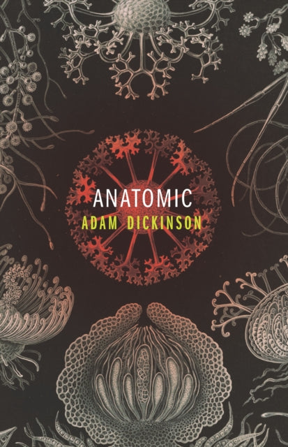 Book cover of: Anatomic. By: Adam Dickinson