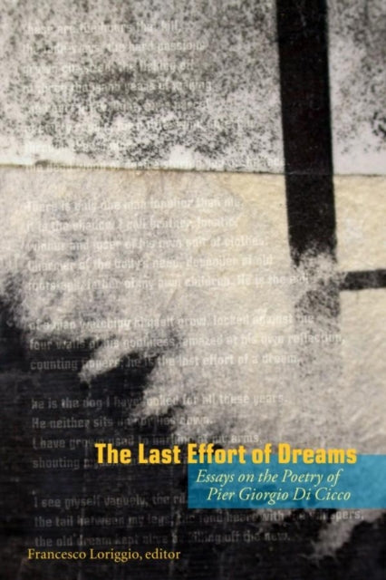 Book cover of: Last Effort of Dreams