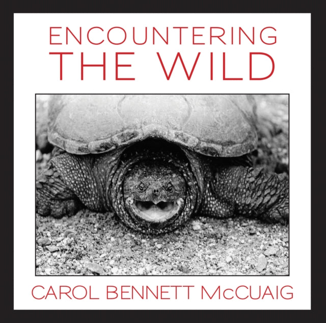 Book cover of: Encountering the Wild. By: Carol Bennett McCuaig