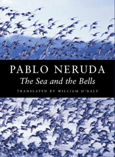 Book cover of: Sea and the Bells