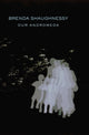 Book cover of: Our Andromeda. By: Brenda Shaughnessy