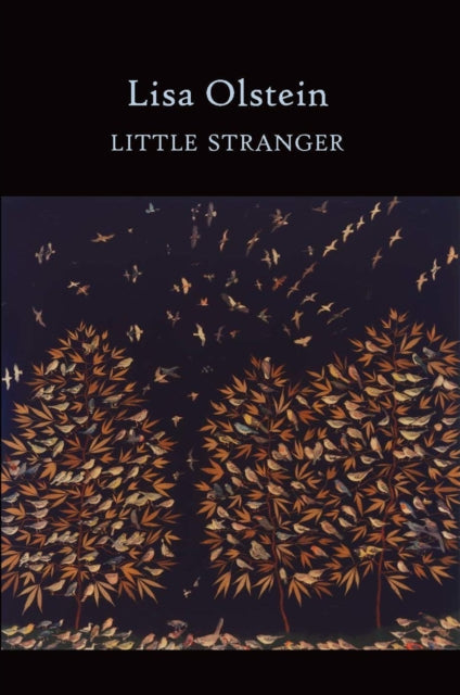 Book cover of: Little Stranger. By: Lisa Olstein