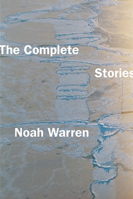 Book cover of: Complete Stories. By: Noah Warren