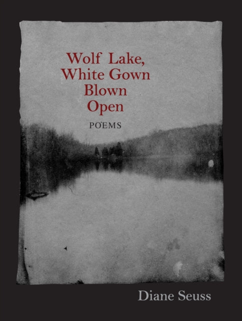 Book cover of: Wolf Lake, White Gown Blown Open. By: Diane Seuss-Brakeman