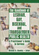 Book cover of: Handbook of Lesbian, Gay, Bisexual, and Transgender Public Health. By: Michael D. Shankle