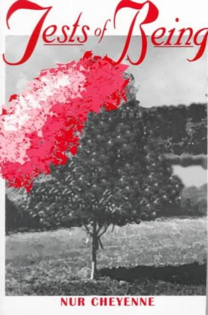Book cover of: Tests of Being