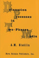 Book cover of: Detonation Process in Two-Phase Media. By: A. M. Gladilin