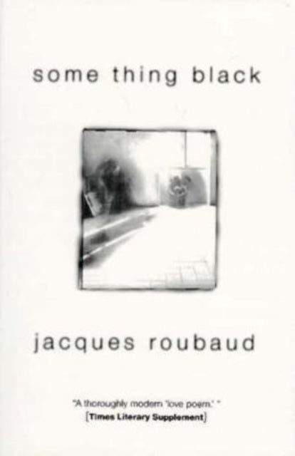 Book cover of: Some Thing Black. By: Jacques Roubaud
