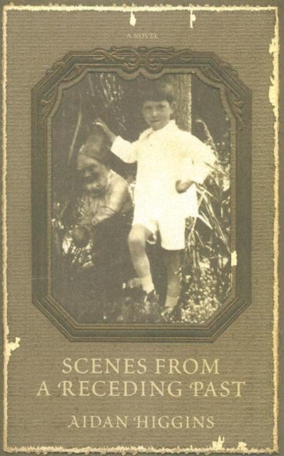 Book cover of: Scenes from a Receding Past
