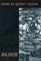 Book cover of: Avalanche