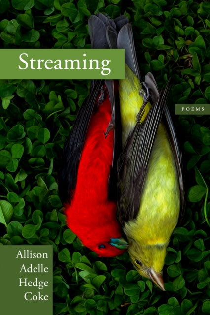 Book cover of: Streaming. By: Allison Adelle Hedge Coke