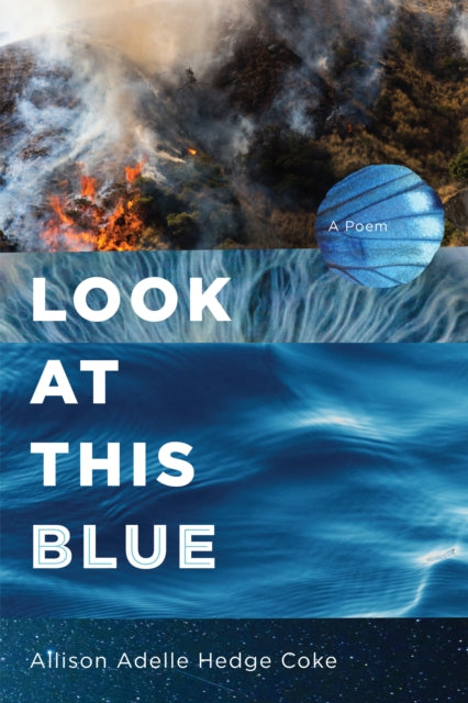 Book cover of: Look at This Blue. By: Allison Adelle Hedge Coke