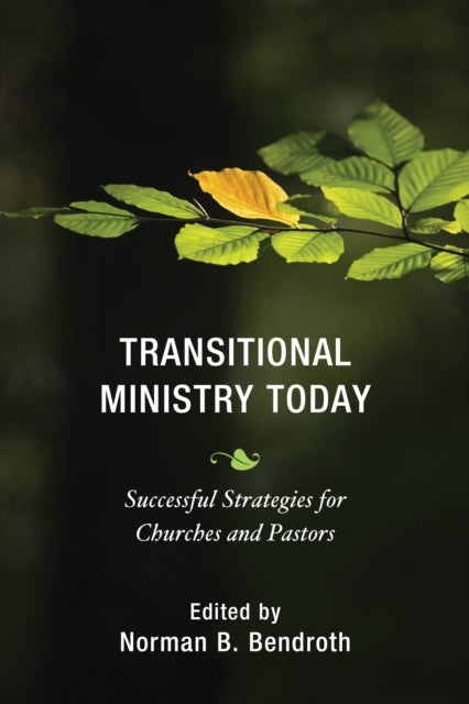 Book cover of: Transitional Ministry Today. By: Norman B. Bendroth
