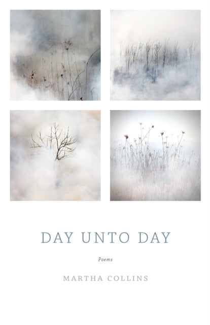 Book cover of: Day Unto Day. By: Martha Collins
