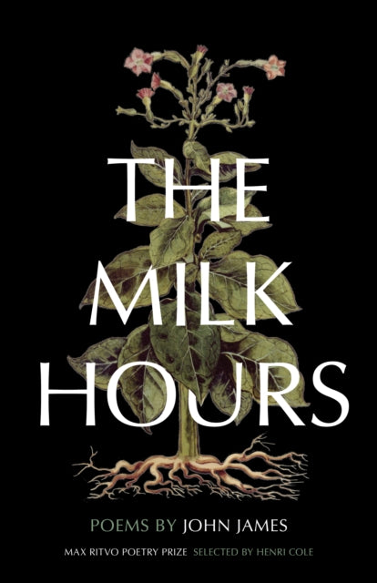 Book cover of: Milk Hours. By: James, John