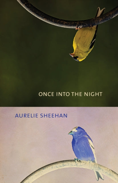 Book cover of: Once Into the Night. By: Aurelie Sheehan