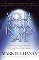 Book cover of: Your God is too Safe. By: Mark Buchanan