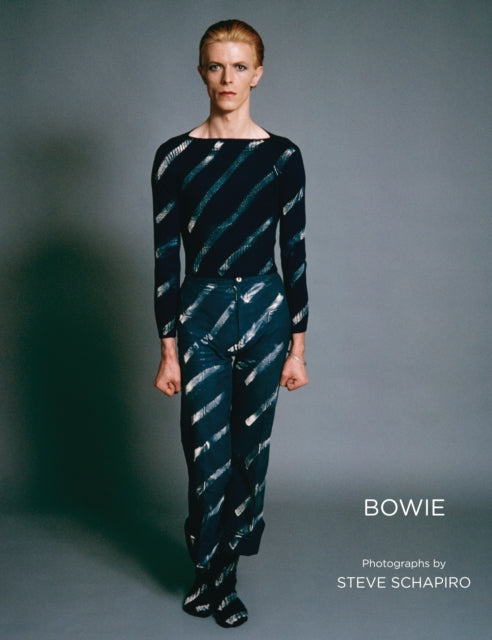 Book cover of: Bowie