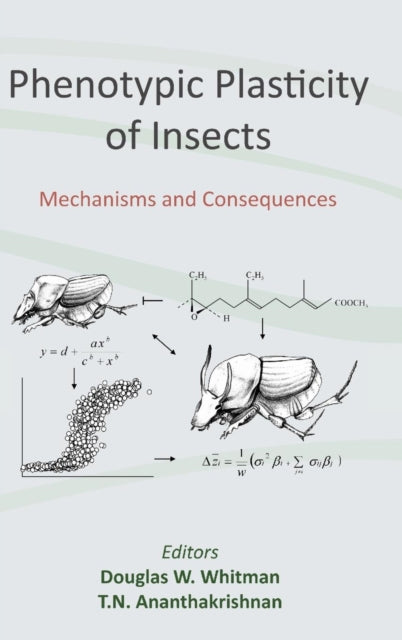 Book cover of: Phenotypic Plasticity of Insects. By: Douglas Whitman
