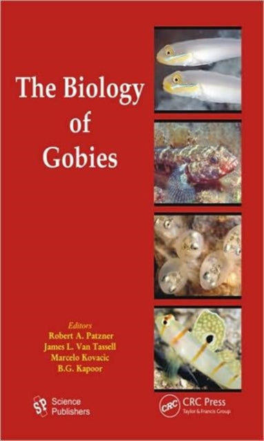 Book cover of: Biology of Gobies. By: Robert A. Patzner