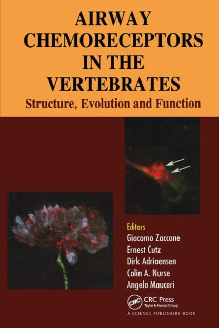 Book cover of: Airway Chemoreceptors in Vertebrates