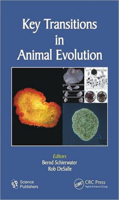 Book cover of: Key Transitions in Animal Evolution. By: Rob DeSalle
