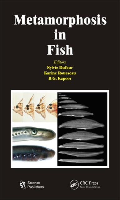 Book cover of: Metamorphosis in Fish. By: Sylvie Dufour