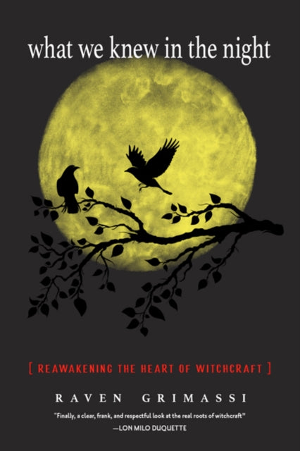 Book cover of: What We Knew in the Night. By: Raven Grimassi