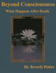 Book cover of: Beyond Consciousness: What Happens After Death. By: David Jay Brown