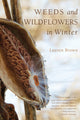 Book cover of: Weeds and Wildflowers in Winter