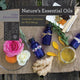 Book cover of: Nature's Essential Oils. By: Cher Kaufmann