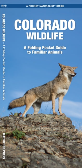 Book cover of: Colorado Wildlife. By: James Kavanagh