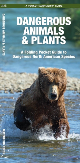 Book cover of: Dangerous Animals & Plants. By: James Kavanagh