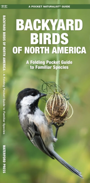 Book cover of: Backyard Birds of North America