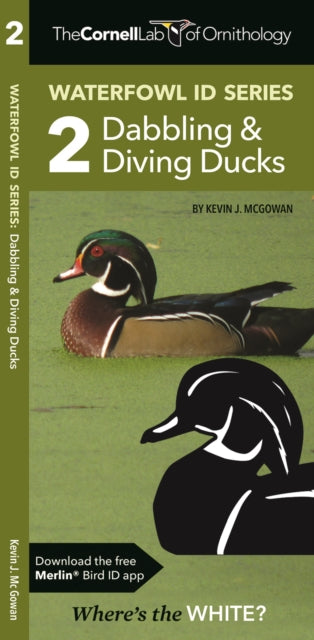 Book cover of: Cornell Lab of Ornithology Waterfowl ID 2 Dabbling & Diving Ducks. By: Kevin J. McGowan