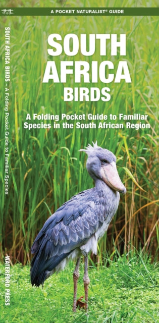Book cover of: South Africa Birds. By: James Kavanagh