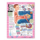 Book cover of: Blueprint for Health Your Ears Chart. By: Anatomical Chart Company