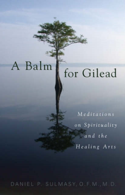Book cover of: Balm for Gilead. By: Daniel P. Sulmasy