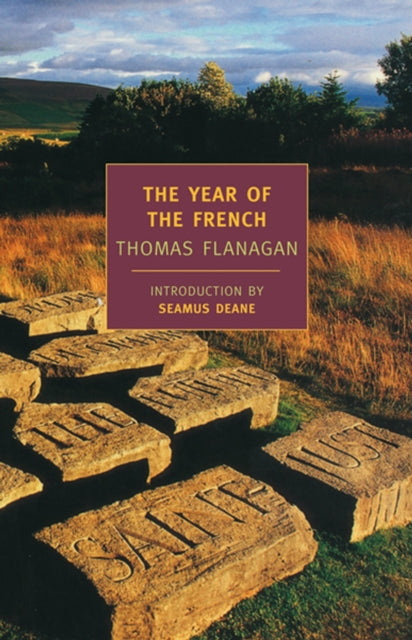 Book cover of: Year Of The French