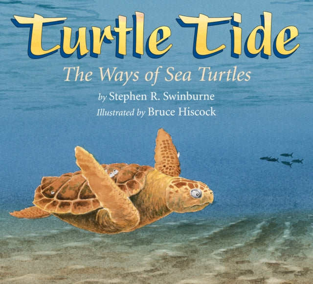 Book cover of: Turtle Tide. By: stephen r. swinburne